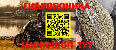 мдпв Гагарин