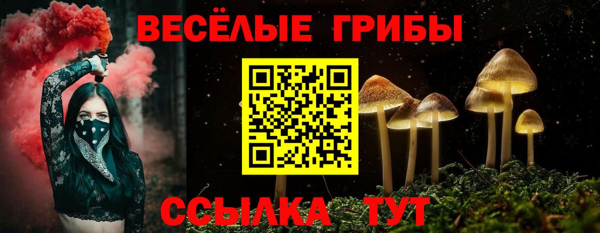 Галлюциногенные грибы Psilocybine cubensis Дальнереченск
