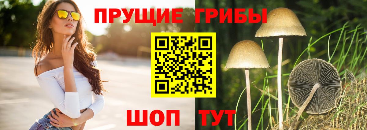 Псилоцибиновые грибы ЛСД  Псилоцибиновые грибы MAGIC MUSHROOMS  Вход с VPN  Дальнереченск 